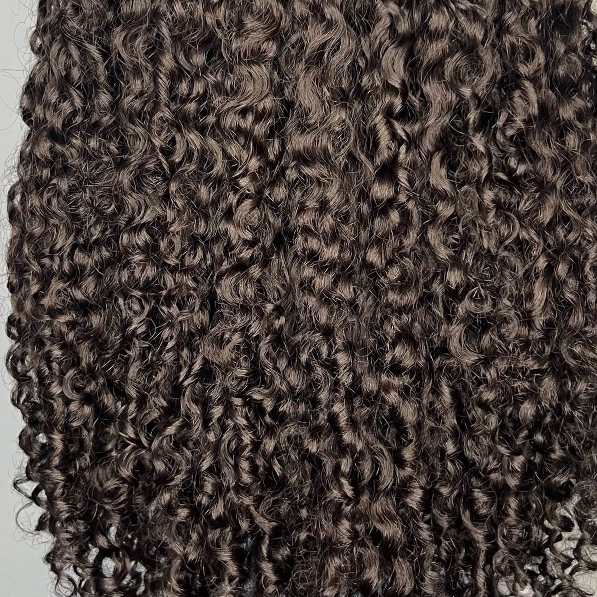 Hybrid Burma Coily Raw RTS