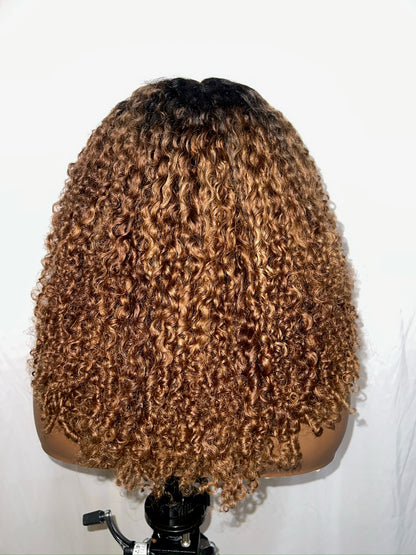 Hybrid Curly Afro Honey Wig RTS